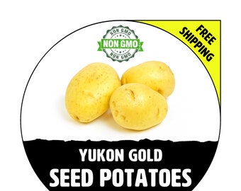 YUKON GOLD Seed Potatoes - 2024 Spring, CERTIFIED Seed Potato - Non-Gmo Heirloom Plant Tuber Spud