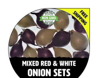 + Onion Sets/Bulbs/Seed