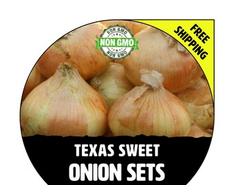 TEXAS SWEET (Onion Sets, Yellow / White Bulbs) - Winter & Spring - Non-Gmo Fresh Heirloom Seed Onions, Live Garden Plant For Sale