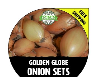 ONION SETS (Golden Globe - Yellow Bulbs) - Non-Gmo, Fresh Grown Heirloom Seed Onions, Spring Fall Summer  - Free Shipping!