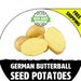 see more listings in the + Seed Potatoes section