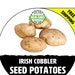 see more listings in the + Seed Potatoes section