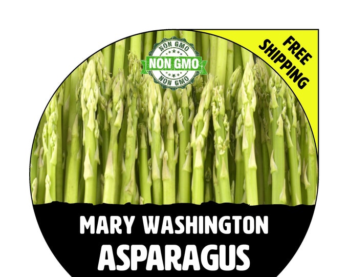 - Asparagus Plants