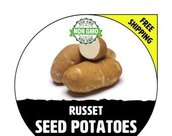 RUSSET Seed Potatoes - 2024 Spring, CERTIFIED Seed Potato - Non-Gmo Heirloom Plant Tuber Spud