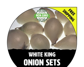 ONION SETS (White King - White Bulbs) - Non-Gmo, Fresh Grown Seed Onions, Live Garden Plant, Spring Fall Summer - Free Shipping!
