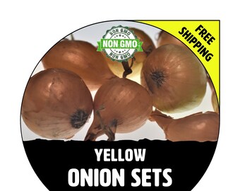 ONION SETS (Yellow Bulbs) - Non-Gmo, Fresh Grown Heirloom Seed Onions, Live Garden Plant, Spring Fall Summer - Free Shipping!