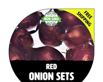 ONION SETS (Red / Purple Bulbs) - Non-Gmo, Fresh Grown Heirloom Seed Onions, Live Garden Plant, Spring Fall Summer - Free Shipping!