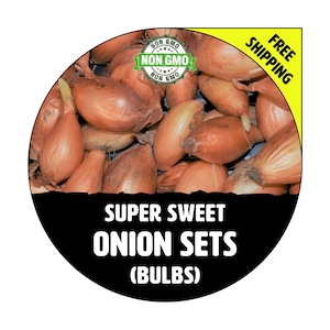 ONION SETS (Super Sweet - Yellow Bulbs) - Non-Gmo, Fresh Grown Heirloom Candy Seed Onions, Live Garden Plant, Spring Summer Fall