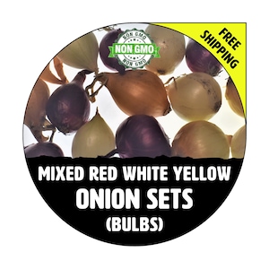 ONION SETS (Mixed - Red, White, & Yellow Bulbs) - Non-Gmo, Fresh Grown Heirloom Seed Onions, Live Garden Plant, Spring Fall Summer