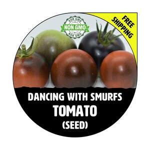 DANCING WITH SMURFS Tomato Seeds - Non-Gmo Heirloom Plants For Garden Planting