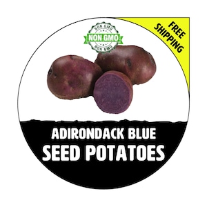 ADIRONDACK BLUE Seed Potatoes - Spring, CERTIFIED Seed Potato - Non-Gmo Heirloom Plant Tuber Spud