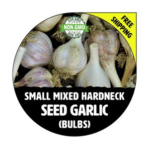 HARDNECK GARLIC (Mixed Small Bulbs) - Non-GMO Heirloom Bulbs, Cloves - Fall Winter Garden Planting - Naturally Grown, Pound, Lbs.