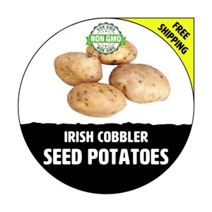 IRISH COBBLER Seed Potatoes - 2024 Spring, CERTIFIED Seed Potato - Non-Gmo Heirloom Plant Tuber Spud