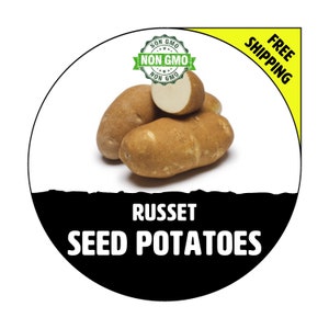 RUSSET Seed Potatoes - 2024 Spring, CERTIFIED Seed Potato - Non-Gmo Heirloom Plant Tuber Spud