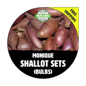 MONIQUE FRENCH SHALLOT Sets - Non-Gmo Bulbs, Garden Seed Shallots - Semi Long Shape, Fresh Multiplier Onions