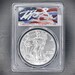 see more listings in the American Silver Eagles section