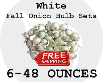 2017 Fall Winter Onion Bulb Sets (White) - Organically Grown Seed Onions, Non-GMO - FREE SHIPPING!