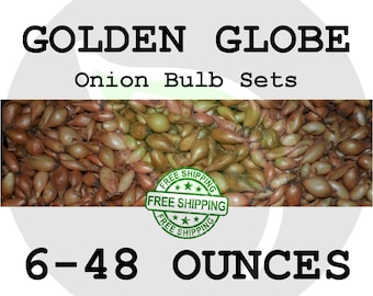 2018 GOLDEN GLOBE Onion Bulb Sets - Organically Grown Seed Onions, Non-GMO - Free Shipping!