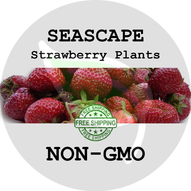 side effects of acai supplements