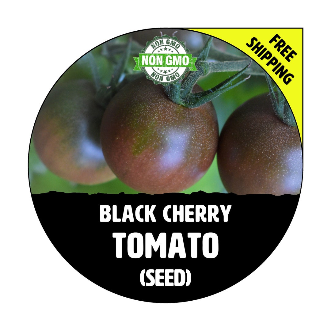 Maxboba Black Cherry Tomato Seeds - Organic Heirloom, Non-GMO, Easy To Grow For Home Garden