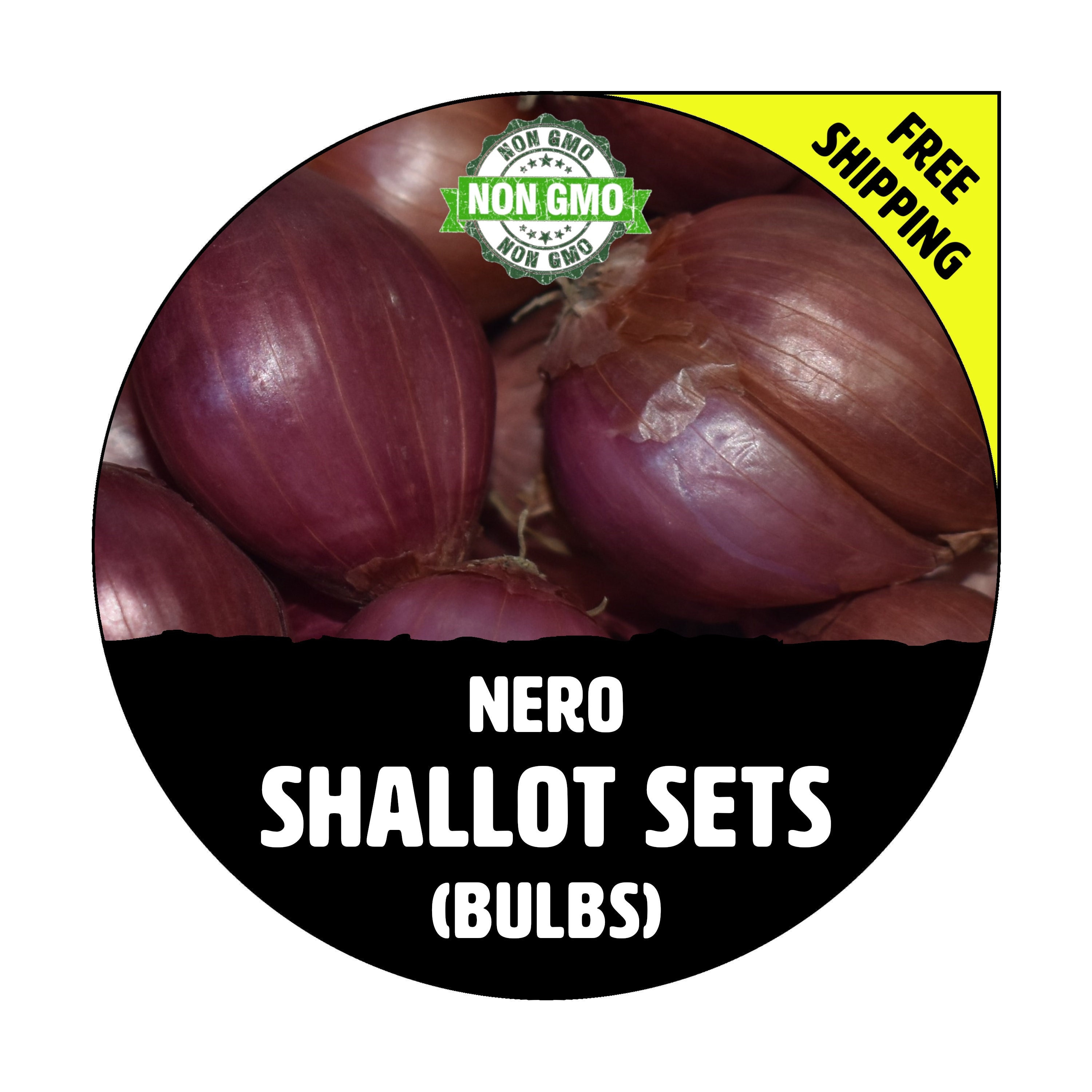 NERO SHALLOT Sets - Non-Gmo Bulbs, Garden Seed Shallots - Traditional Round  Shape, Fresh Multiplier Onions