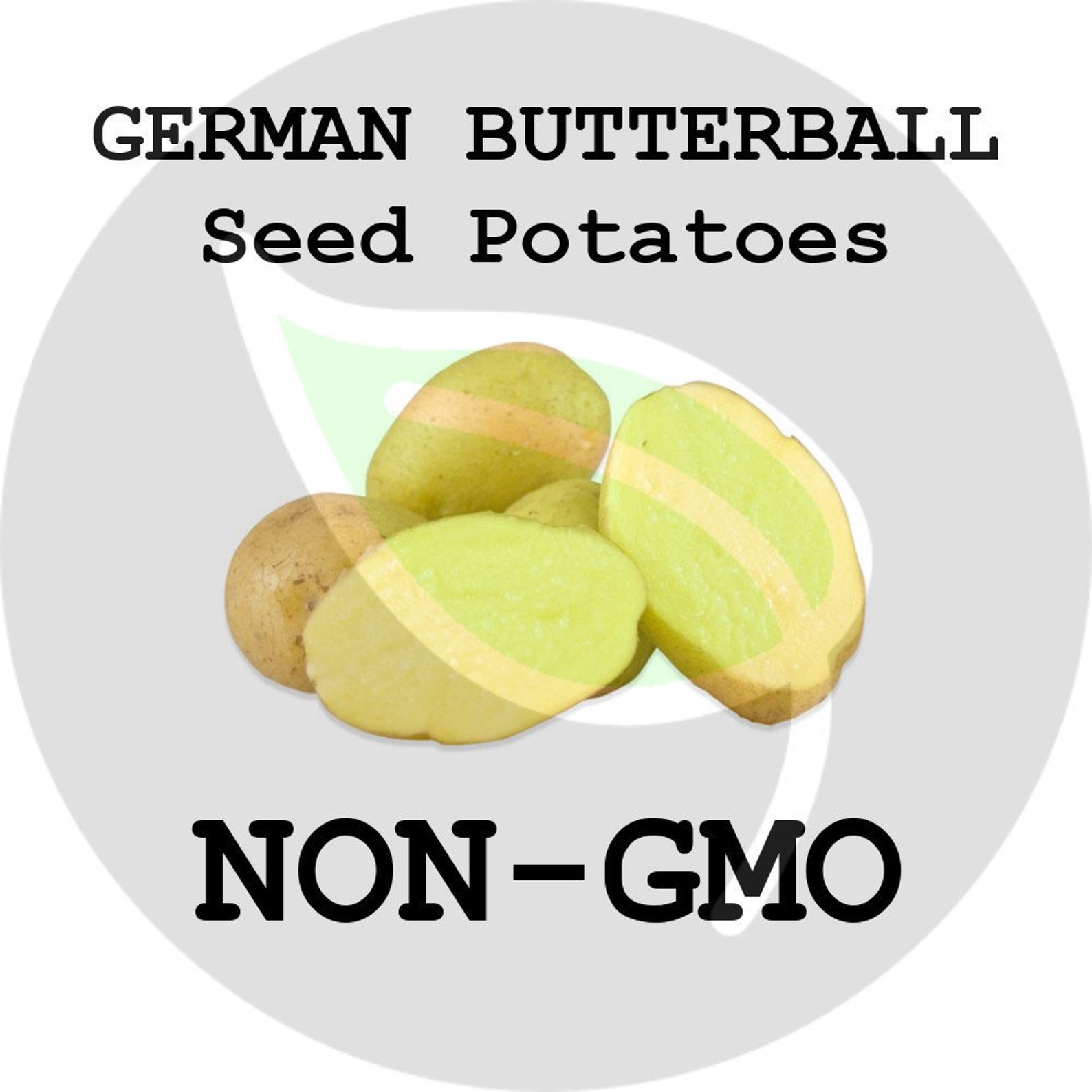 German Butterball Seed Potatoes - 2022 Spring - CERTIFIED SEED POTATO, Ready 4 Garden Planting! Non-Gmo Heirloom Tuber Spud