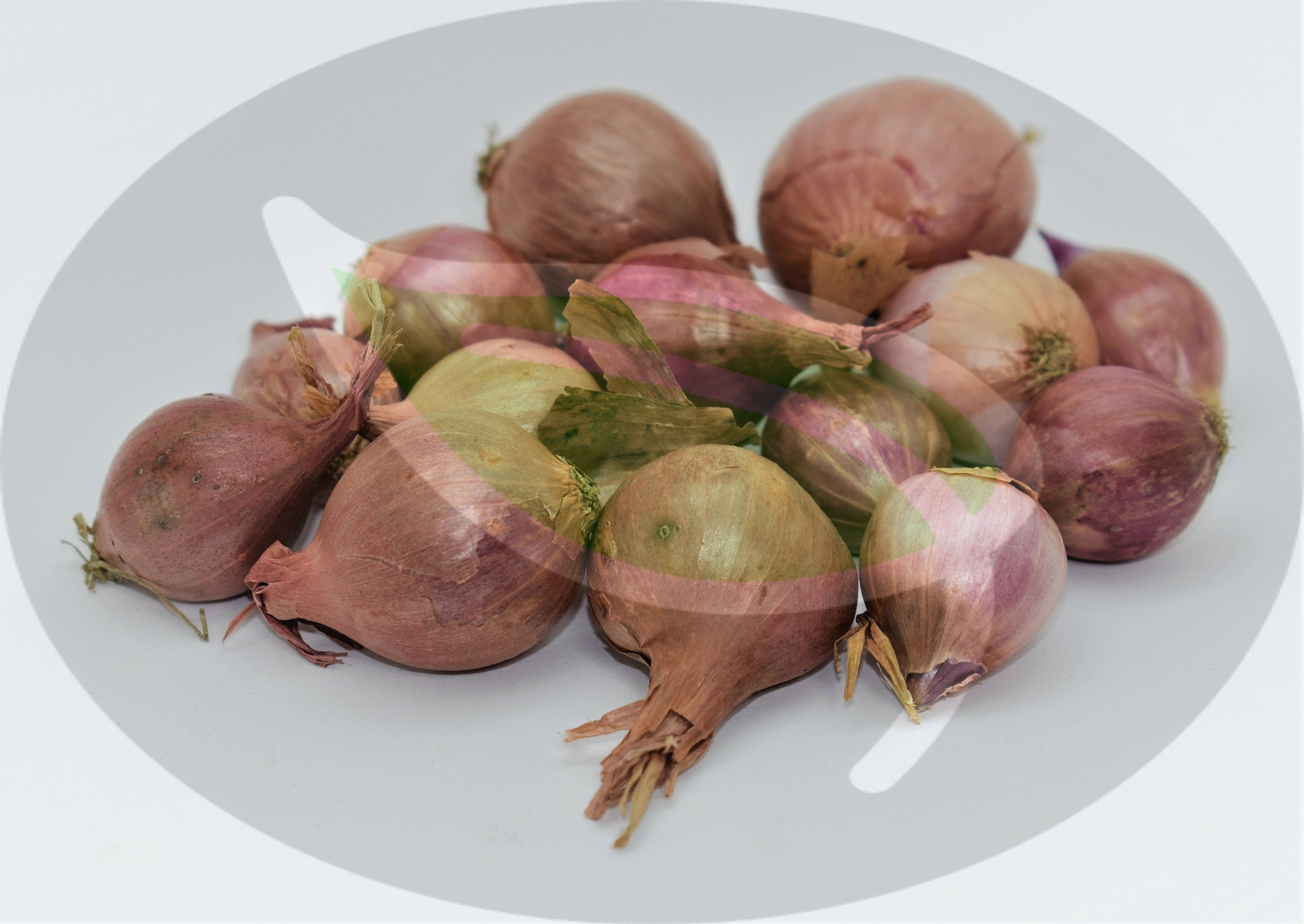 NERO SHALLOT Sets NonGmo Bulbs Garden Seed Shallots Etsy