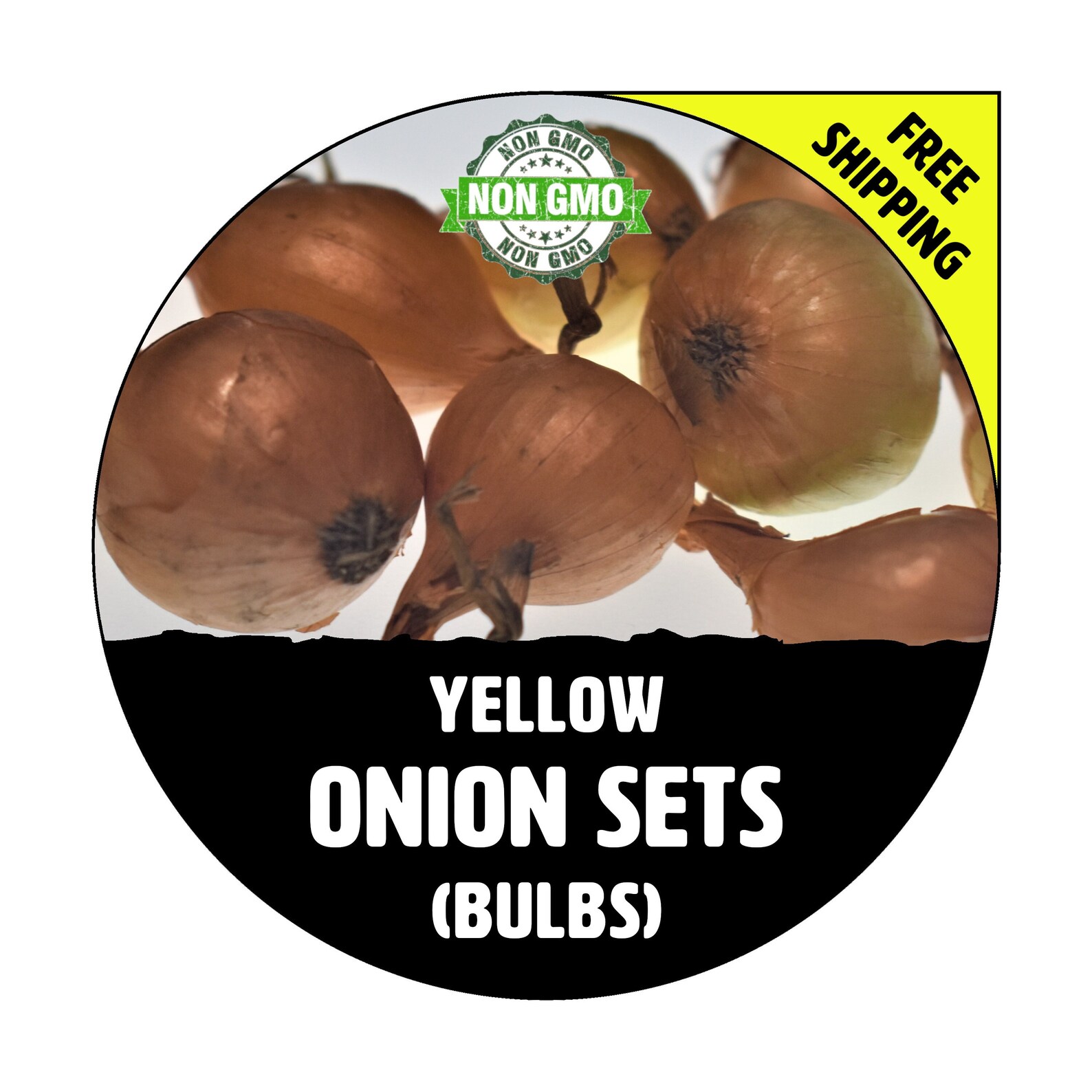 Live onion