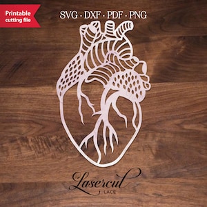 Echt menselijk hart anatomie SVG, anatomisch hart papier gesneden sjabloon voor Cricut, Goth Valentijn, Love Heart laser gesneden kunst.