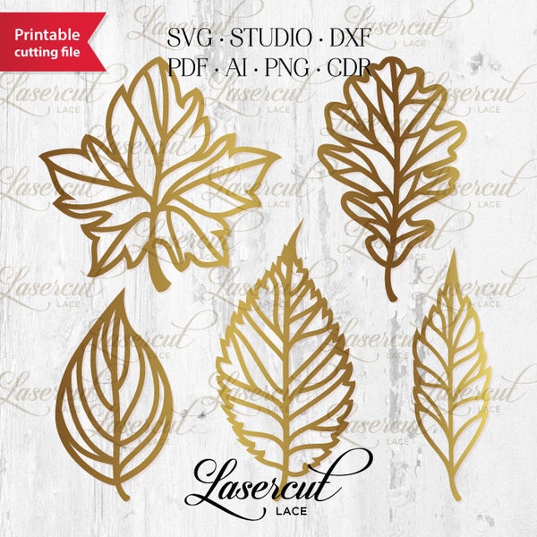 Fall leaves SVG lasercut file, botanical foliage set, vector leaf bundle, leaves cutting SVG, wreath fall leaves set • Commercial use •