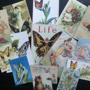 Vintage Schmetterling, Leben, Natur Grußkarte zur Kartenherstellung BB29 -- Lot von 15