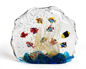 Crystal Clear Coral Reef Aquarium