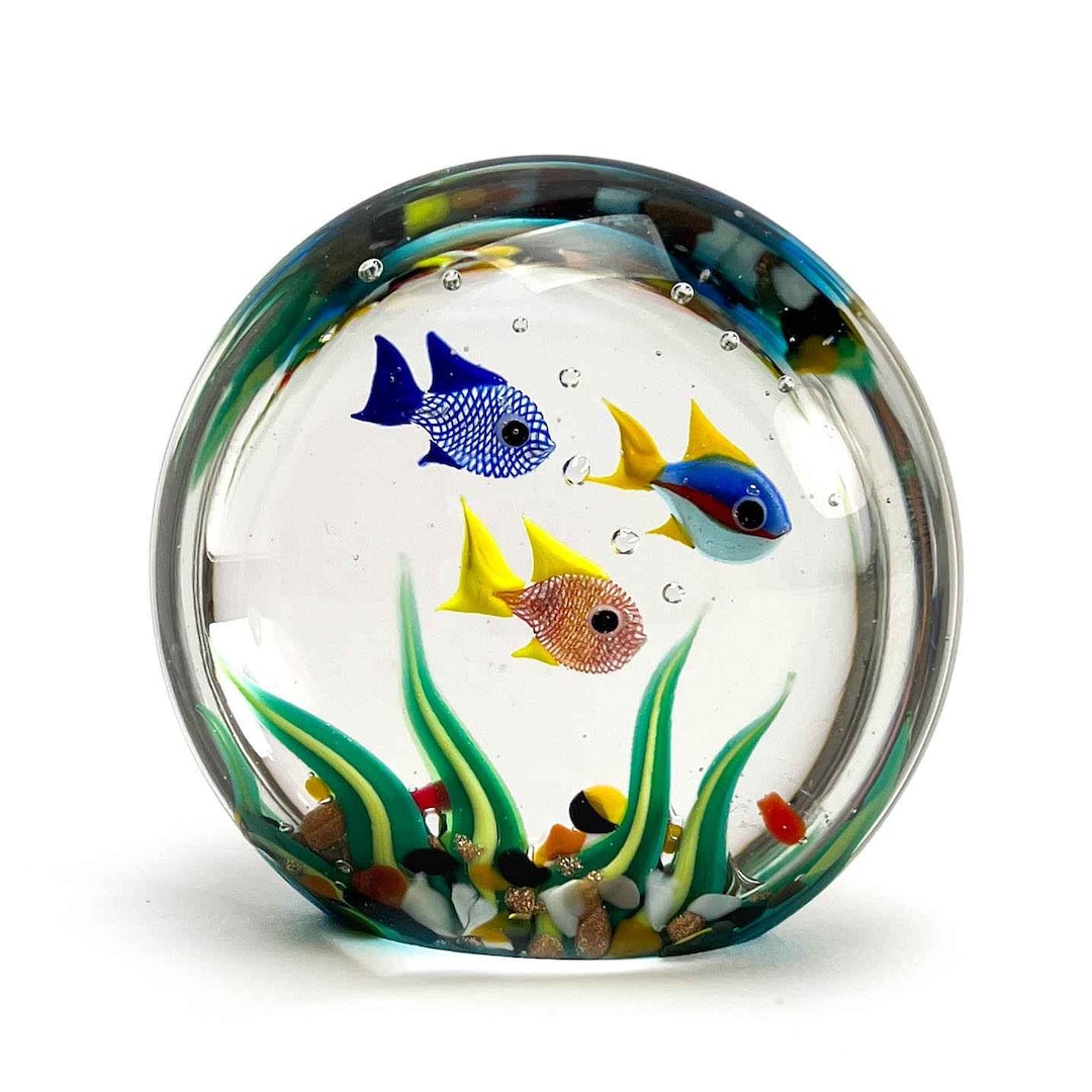 View of Aquarium Miniature With Tropical Fish - Murano Glass - Etsy