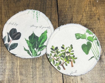 Indoor Plants Cotton Round