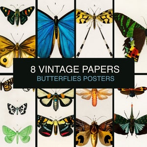 DIGITALE vlinderprints - set van 8. Vintage vlinderposters Illustration.Antique vlinder schoolkaart. Afdrukbare encyclopedieplaat