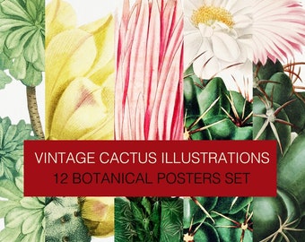 Vintage Cactus Digital drawings. 12 botanic plant and flower illustrations posters. Printable Cactus Succulent Wall Art - Instant Download