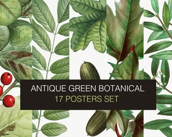 Antique Green Botanical Digital prints - set of 17. Vintage Green Plants Posters by Pierre-Joseph Redouté. Plant Printable Set.