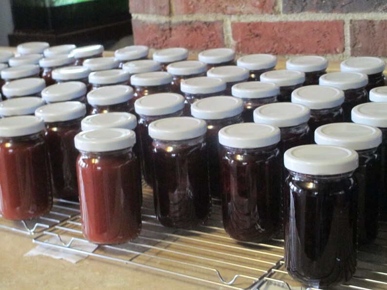 Maine wild blueberry jam/wild blueberry jam/jar of image 9
