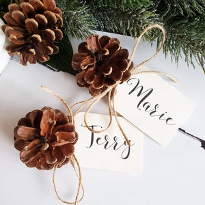 Pine Cone Place Cards for Autumn Weddings or Winter Weddings. Natural Place Settings for Rustic Wedding Decor. Christmas Wedding.