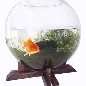 May include: A round glass fishbowl with a single goldfish and green plants inside, sitting on a dark wooden stand with four legs.