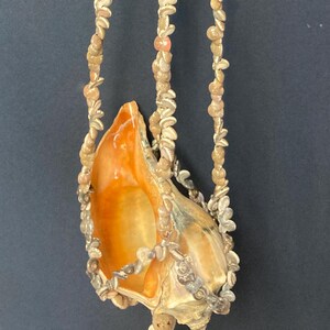May include: A decorative seashell mobile featuring a large, orange-toned conch shell suspended by three strands of small, beige seashells. The mobile is set against a dark background, highlighting the natural colours and textures of the sea shells.