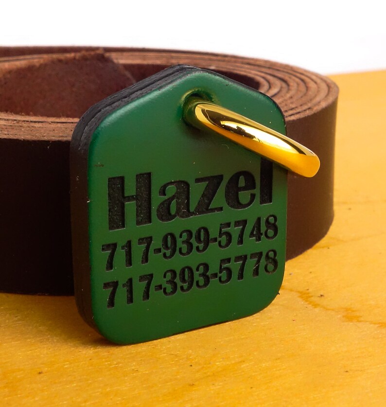 Green Pet Dog Collar ID Tag in Leather Personalized Laser Etsy