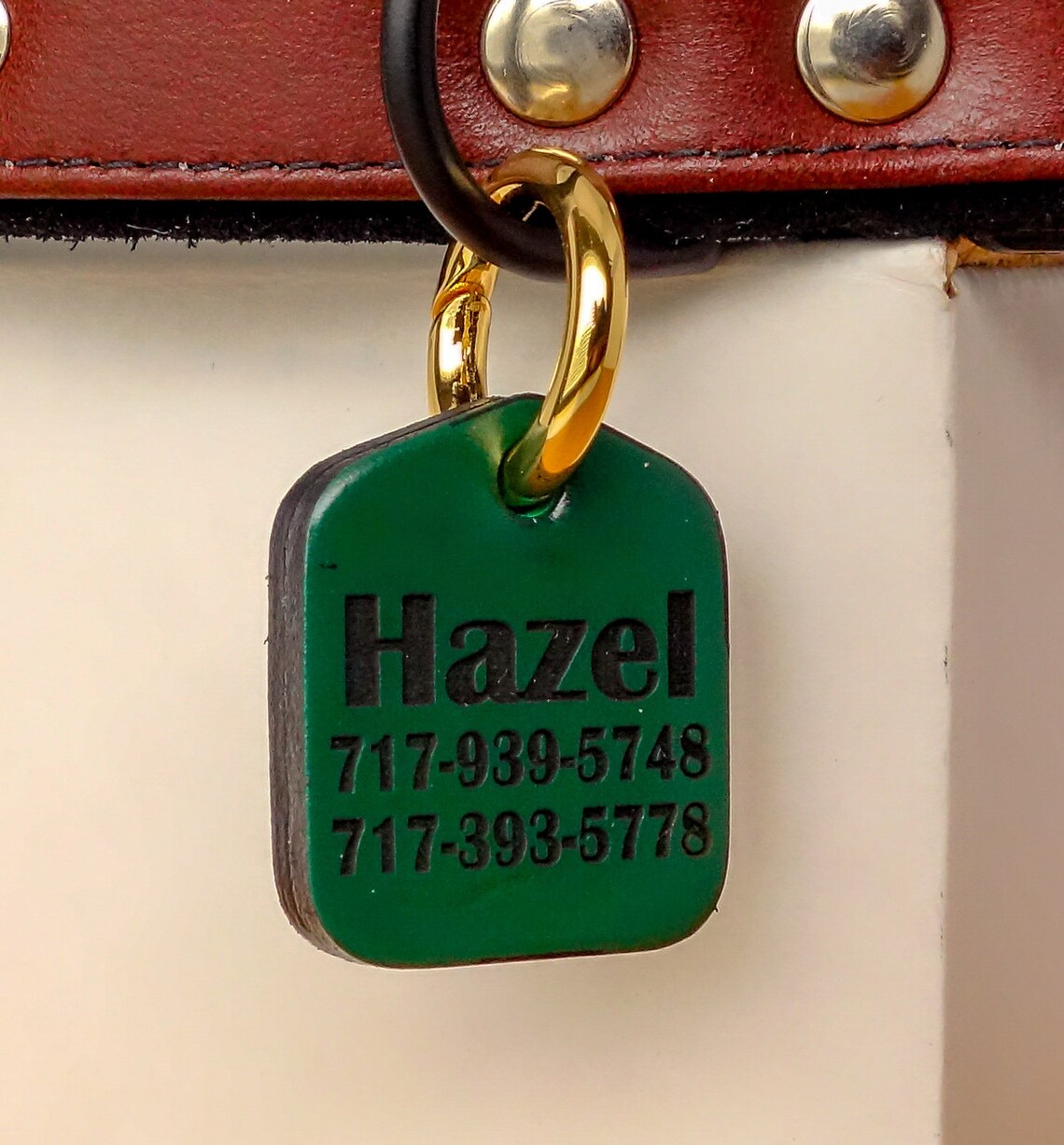 Green Pet Dog Collar ID Tag in Leather Personalized Laser Etsy