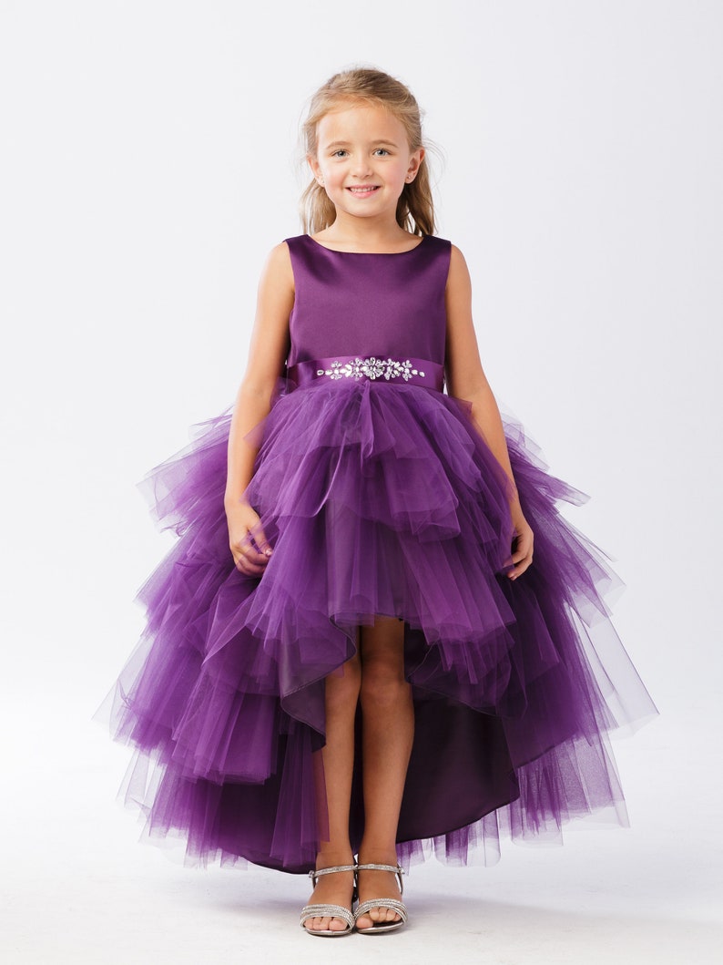 Eggplant Ruffles Tulle High-Low Dress