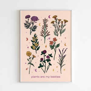 BOTANIC BESTIES • Illustration, affiche, carte illustrée fleurs, plantes et botanique / Impression fine art, papier de création