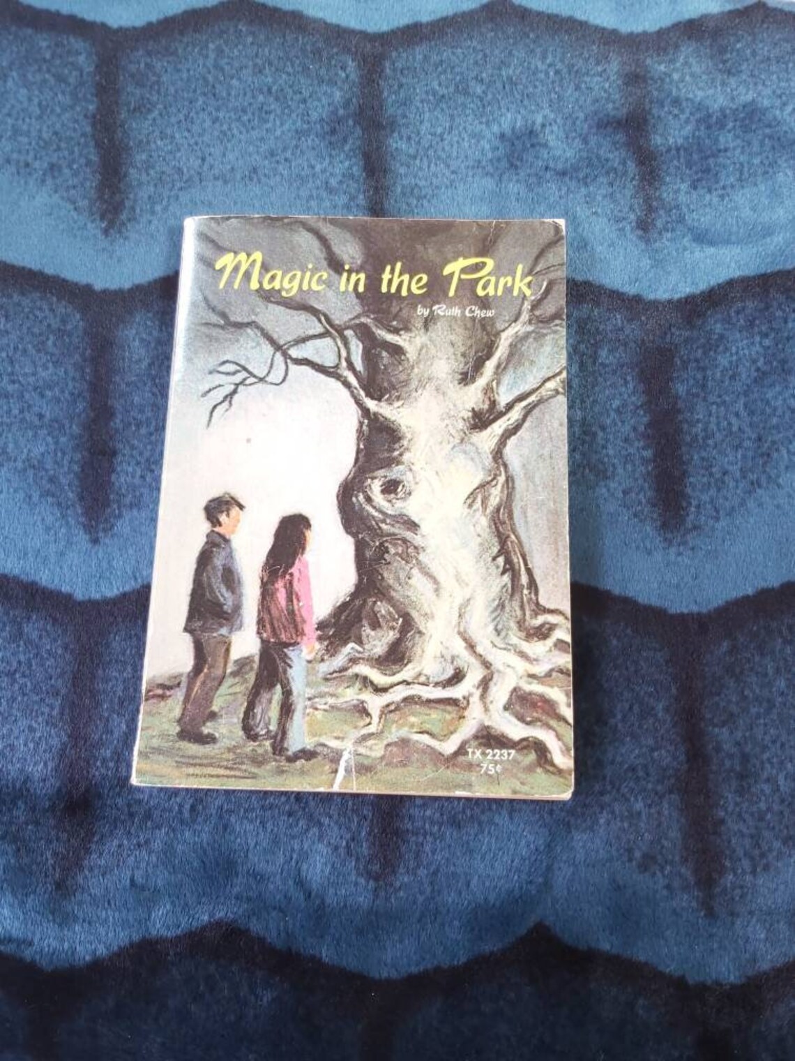 The Magic Coin by Ruth Chew The Magic Coin by Ruth Chew
