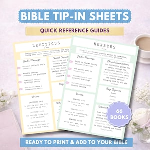 May include: Bible tip-in sheets with quick reference guides for Leviticus and Numbers. The sheets include key verses, God's message, and Christ connection details. A floral arrangement and a cup of coffee are in the background. The text reads "66 Books."