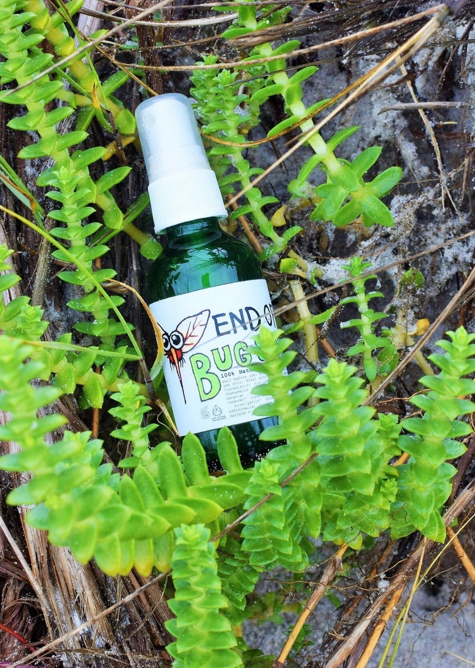 Herbal Bug Spray . lemongrass, catnip, lavender, cedarwood, eucalyptus, rosemary scented outdoor mist