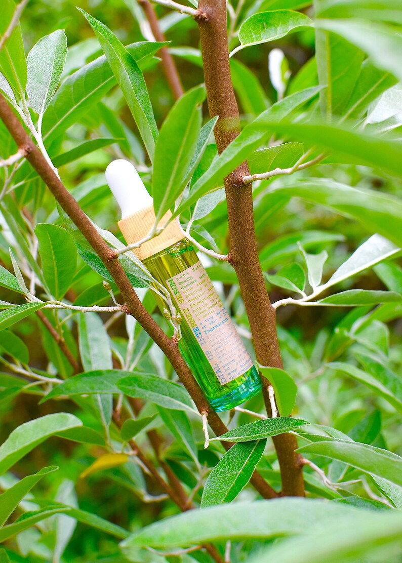 May include: A green serum bottle with a white dropper and a tan cap, nestled among green leaves and brown branches. The bottle has a label with text. The background is blurred, emphasizing the product.