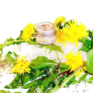 Dandelion Brow Gloss . all natural plant infused eye brow balm